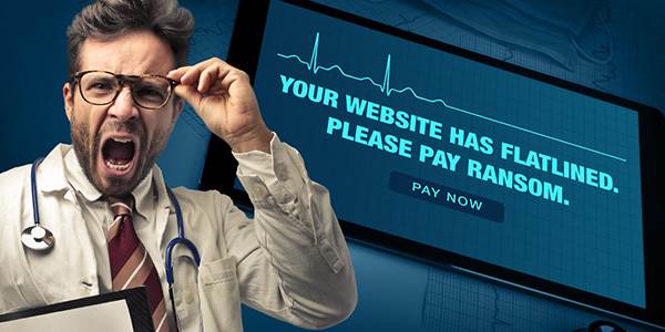 Read the Your Money or Your Website blog post