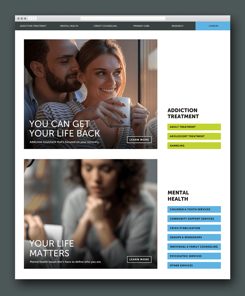 View the Chestnut Health Systems project details