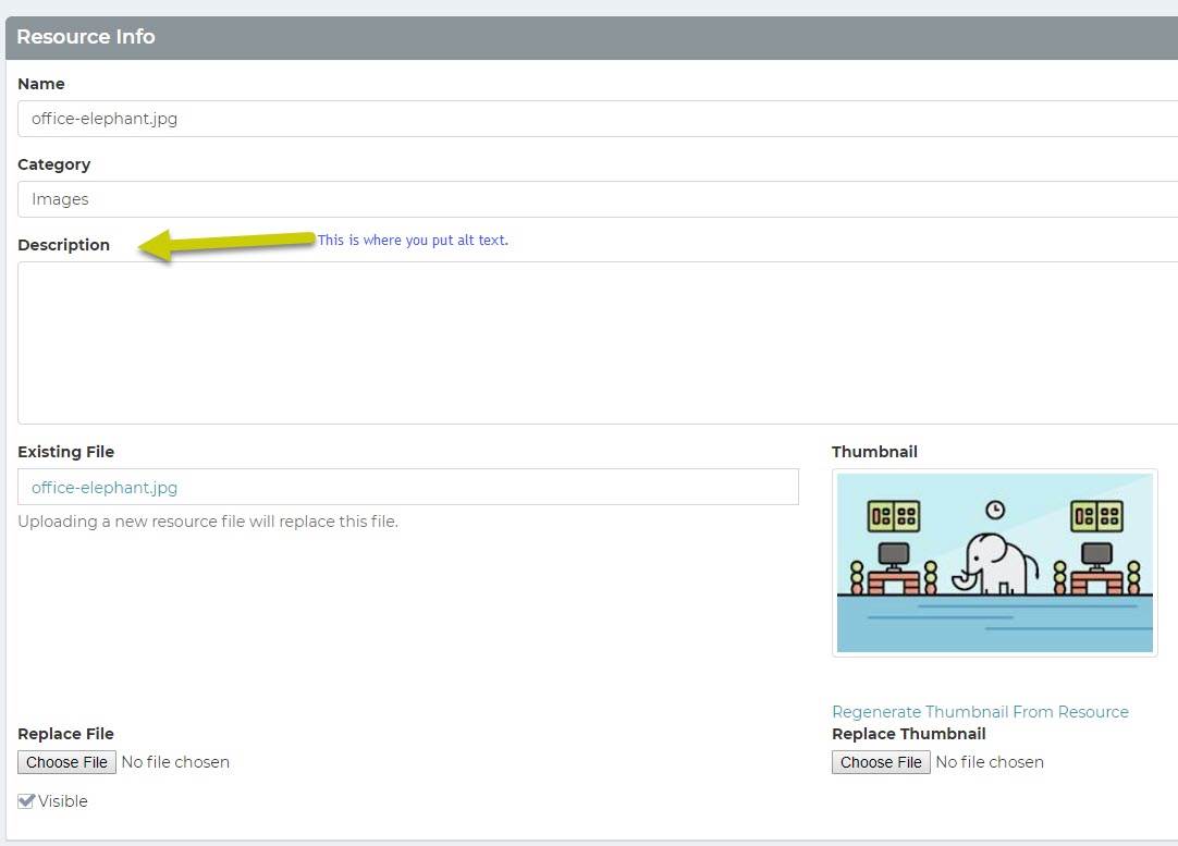 Alt Text Example